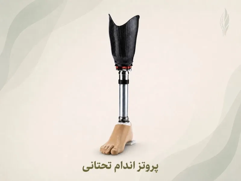 ارتوپدی فنی سرو